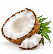 coconut
