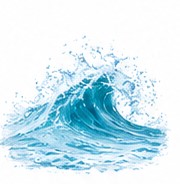 marine notes