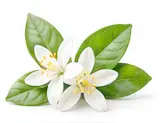 neroli