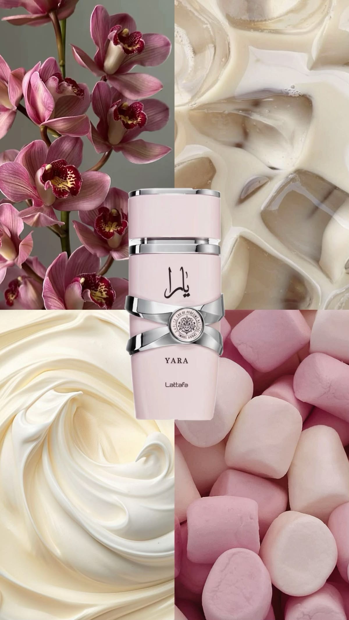 یارا لطافه